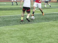 男子足球队,全球排名,哈哈体育官方网站,哈哈体育官方网站,哈哈体育,(HAHA,SPORT),哈哈体育平台首页,哈哈体育平台官网入口