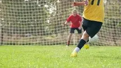 “十战全胜，苍南“浙BA”队如何勇往直前？”